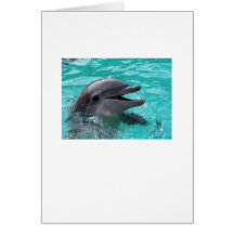 Dolphin head in aquamarine water card