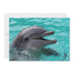 Dolphin head in aquamarine water invitations