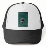 Dolphin Head Out Of Water Mesh Hats