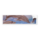 Dolphin High Five bumper stickers