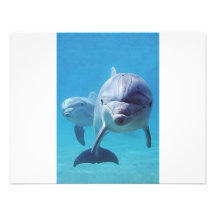 dolphin II Personalized Announcements