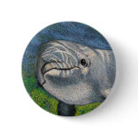 DOLPHIN IN COLOR PENCIL buttons