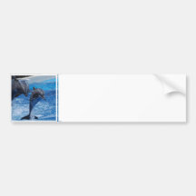 Dolphin Jumping  Bumper Stickers