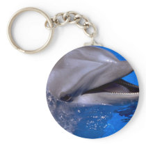Dolphin Key Chain