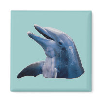 Dolphin Fridge Magnets