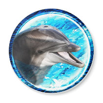 Dolphin magnet