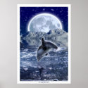 DOLPHIN & MOON Fantasy Art Poster posters