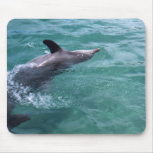Dolphin Mouse Mats