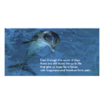 Dolphin of Hope Photo Card photo cards