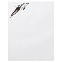 Dolphin Painting