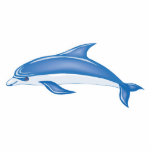 dolphin photo sculptures