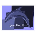 Dolphin Postcard