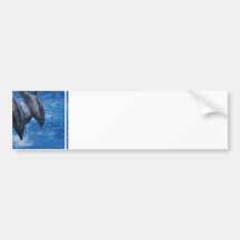 Dolphin Show Bumper Sticker