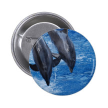 Dolphin Show Button