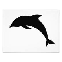 Dolphin Silhouette Art Photo