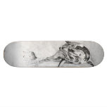 Dolphin Skateboard