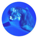 Dolphin stickers