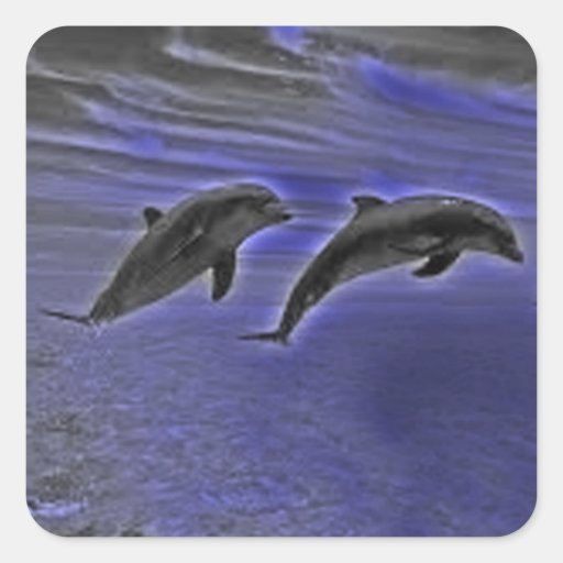 Dolphin sticker