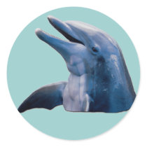 Dolphin Stickers