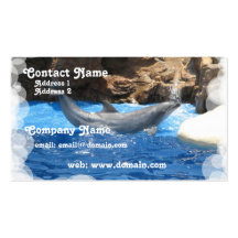 Dolphin Tricks Business Card