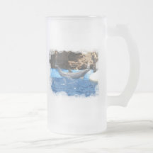Dolphin Tricks Frosted Beer Mug