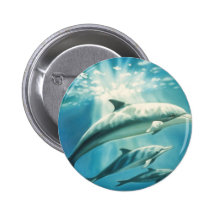 Dolphin Trio Pinback Button