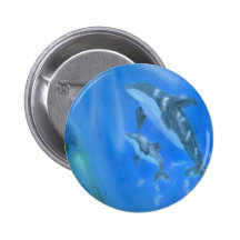 Dolphin underwater scene button