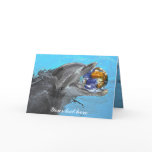 Dolphin wish you a happy new year