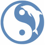 Dolphin Yin Yang Ornament photo sculptures