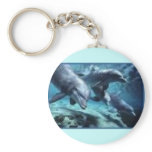 dolphins(2) keychain
