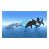 Dolphins and Orca's Sticker