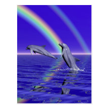 Dolphins and Rainbow Post Cards