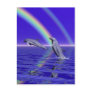 Dolphins and Rainbow Post Cards