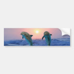 Dolphins at sunrise bumper sticker