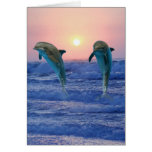Dolphins at sunrise greeting cards