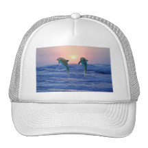 Dolphins at sunrise hat