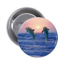 Dolphins at sunrise pin