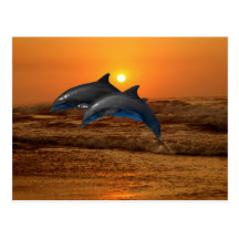 Dolphins at sunset postcards