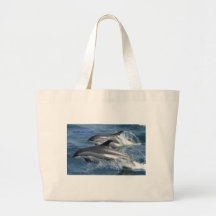 dolphins bag