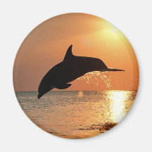 Dolphins by Sunset Refrigerator Magnet