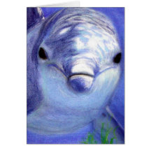 Dolphins Drawing Blue Dolphin Underwater Picture Card