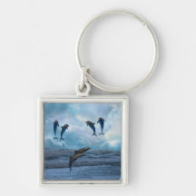 Dolphins fantasy key chains