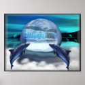 dolphins follow posters