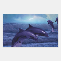 Dolphins fun and play rectangle stickers