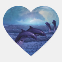Dolphins fun and play sticker