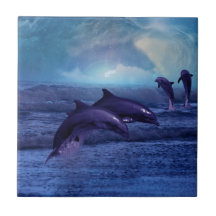 Dolphins fun and play tiles