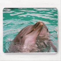 Dolphins Mouse Mats