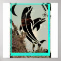 dolphins posters