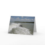 Dolphins surfing in the wake of the boat greeting card