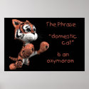 Domestic Cat in Black posters